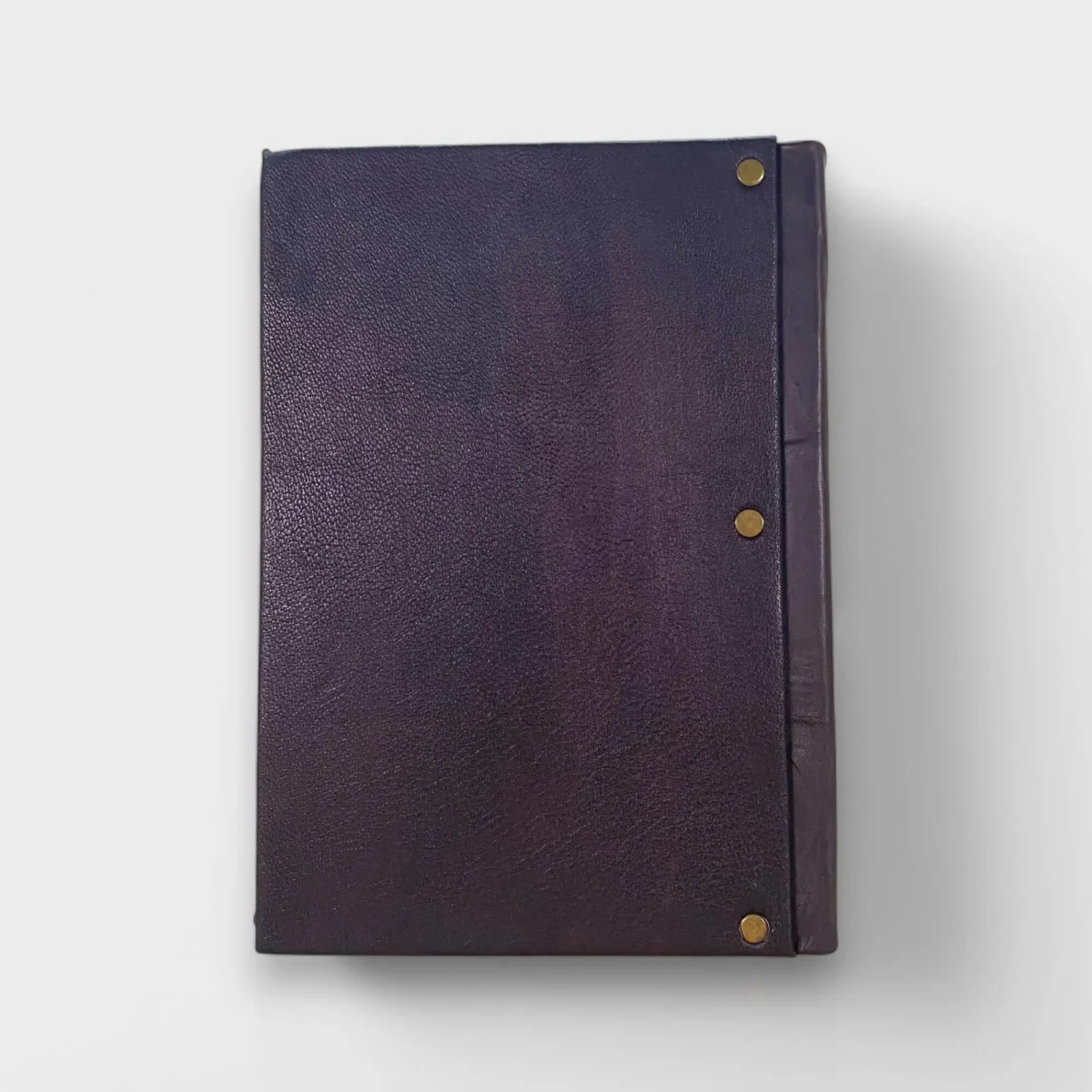 Dragonfly El Yapımı Deri Defter - Görsel 4