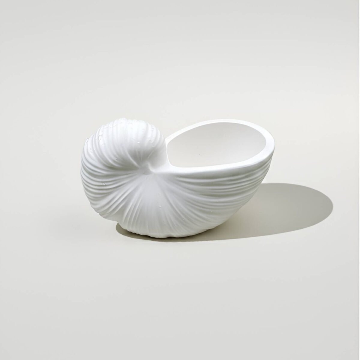 İstiridye Tasarım Dekoratif Kase - Görsel 2