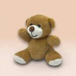 Sevimli Kahverengi Peluş Ayıcık