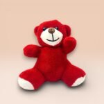Sevimli Kırmızı Peluş Ayıcık