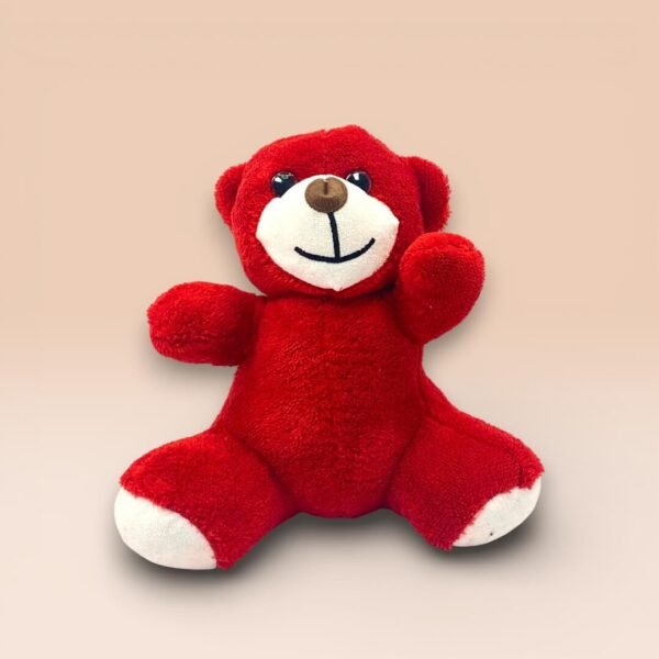 Sevimli Kırmızı Peluş Ayıcık