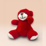 Sevimli Kırmızı Peluş Ayıcık