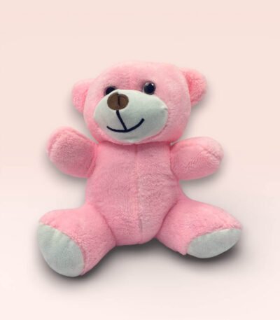Sevimli Pembe Peluş Ayıcık