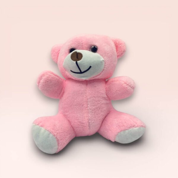 Sevimli Pembe Peluş Ayıcık