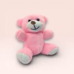 Sevimli Pembe Peluş Ayıcık