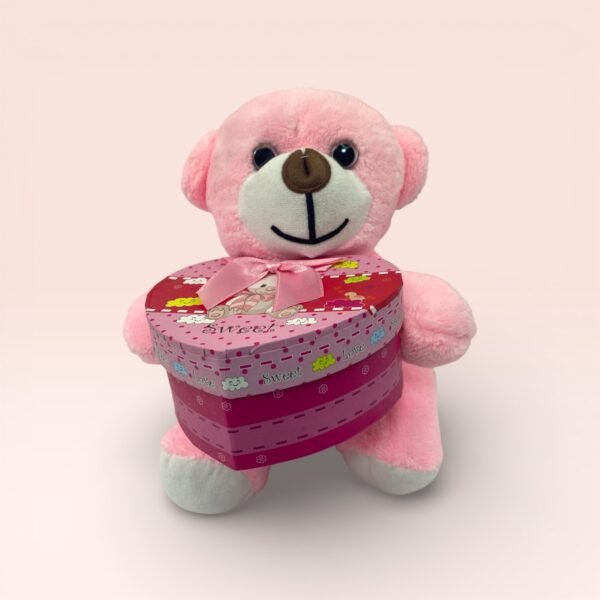 Kalp Kutulu Sevimli Pembe Peluş Ayıcık