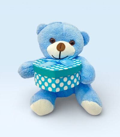 Kalp Kutulu Sevimli Mavi Peluş Ayıcık