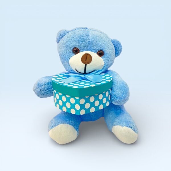 Kalp Kutulu Sevimli Mavi Peluş Ayıcık