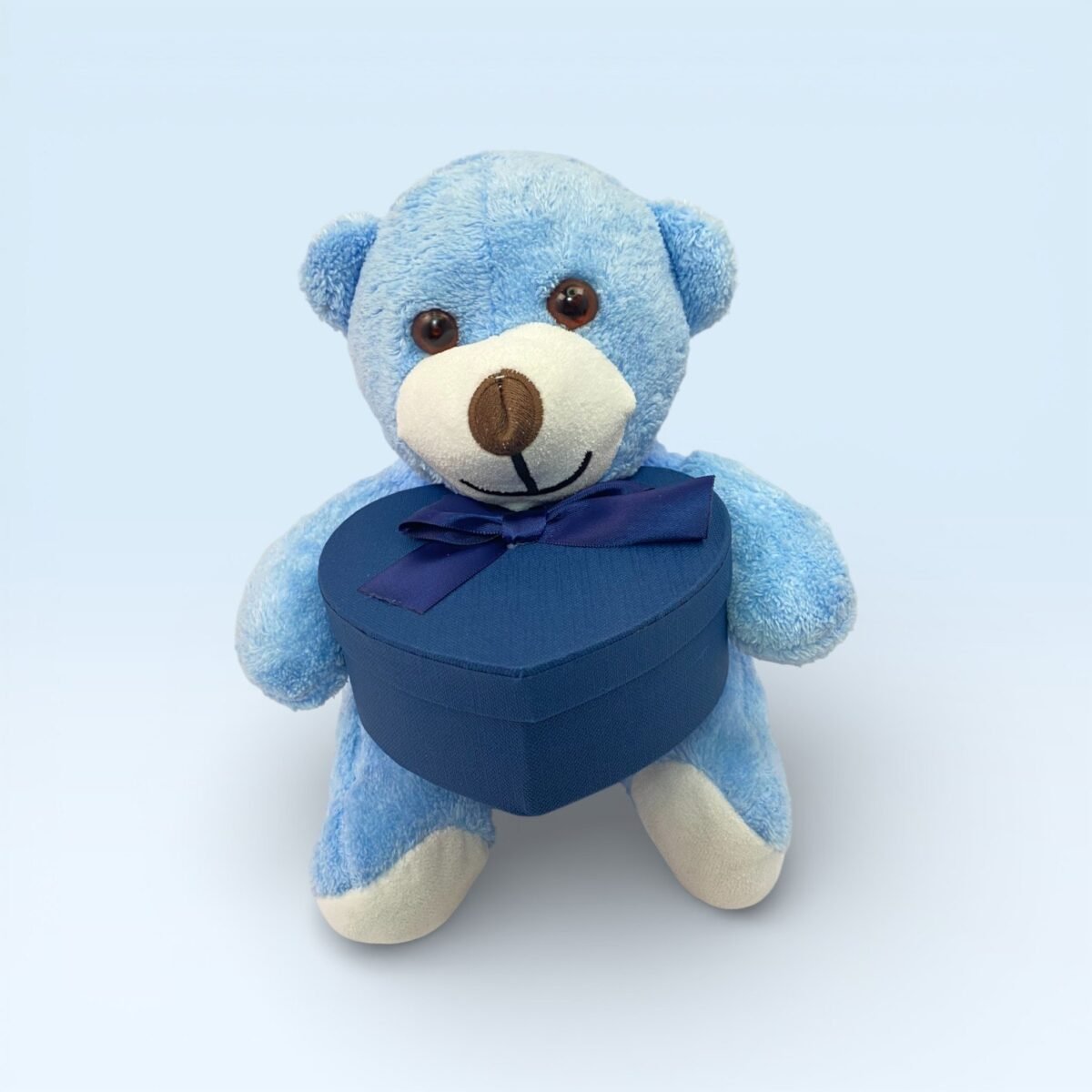 Kalp Kutulu Sevimli Mavi Peluş Ayıcık