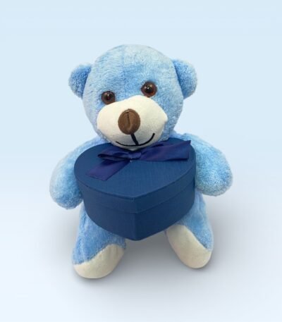 Kalp Kutulu Sevimli Mavi Peluş Ayıcık