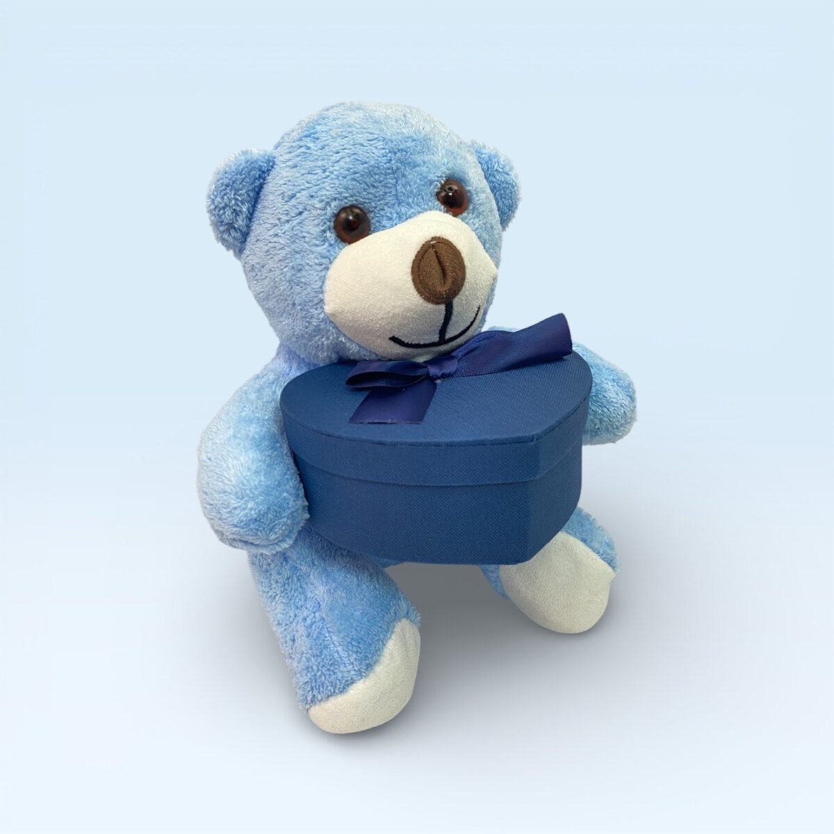 Kalp Kutulu Sevimli Mavi Peluş Ayıcık