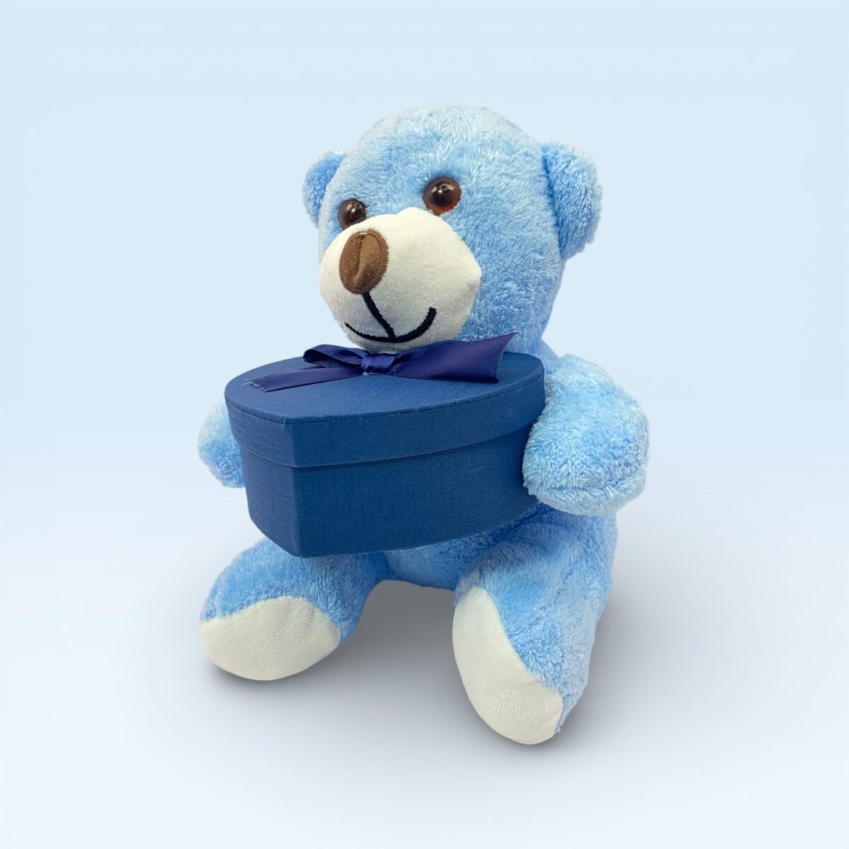 Kalp Kutulu Sevimli Mavi Peluş Ayıcık