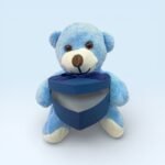 Kalp Kutulu Sevimli Mavi Peluş Ayıcık