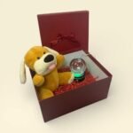 Sevimli Peluş Oyuncak Hediye Seti